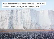  ??  ?? Fossilised shells of tiny animals containing carbon form chalk, like in these cliffs