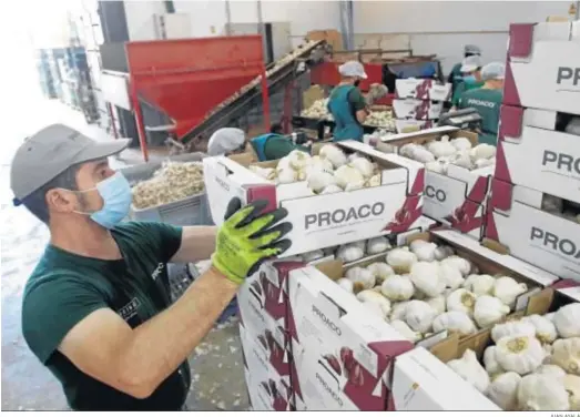  ?? JUAN AYALA ?? Operarios trabajan en una fábrica en Córdoba.