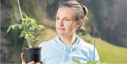  ?? DREAMSTIME ?? Mid-June is the perfect time to put in “hot crops,” such as tomato seedlings and potatoes.