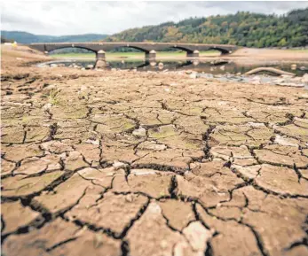  ?? FOTO: DPA ?? Drastische Dürre wie im vergangene­n Sommer droht künftig auch in Deutschlan­d immer häufiger. Um verheerend­e Änderungen zu vermeiden, muss die Menschheit schnell einlenken, warnen Klimaforsc­her.