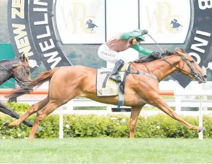  ?? Photo / Race Images ?? Sam Collett celebrates as she guides Travelling Light to success in the Group One Levin Classic (1600m).