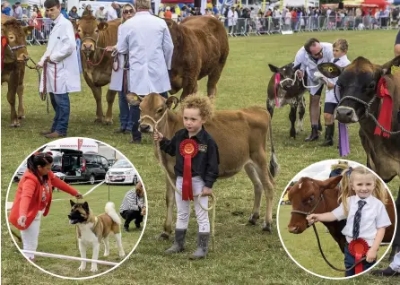  ??  ?? The popular Leek Show will not take place this year after the District Council denied it the use of Birchall Playing Fields.