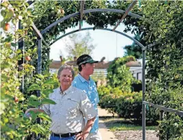  ?? [PHOTOS BY BRYAN TERRY, THE OKLAHOMAN] ?? Below: Frank McDonald, president of TLC Garden Centers, and his son Patrick stand under apple and pear trees.