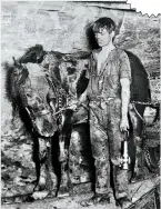  ??  ?? Heather Clark’s father was a horse keeper at a pit, like the boy (pictured above) in our February issue