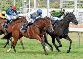  ?? PHOTO: TRISH DUNELL ?? Michael Coleman and Nicoletta, inner, edge out Devise in the 2017 Desert Gold Stakes at Trentham.