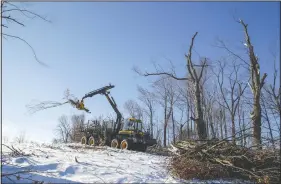  ?? (The Gazette/Jim Slosiarek) ?? An operator uses a forwarder to pick up and remove tree limbs and other debris from areas of Ellis Park Golf Course in Cedar Rapids, Iowa.