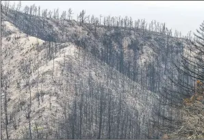  ??  ?? Damage from the 2020 CZU Lightning Complex Fire is seen at Big Basin Redwoods.