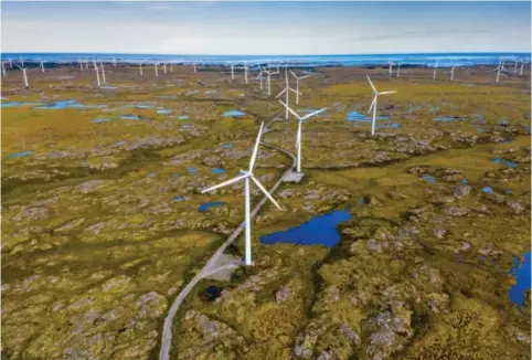  ?? SCANPIX ?? – Spesielt fascinert blir jeg av Klaus Mohns henvisning til «nasjonalro­mantikerne». Er forklaring­en så enkel som at Klaus Mohn selv anser naturvern som nasjonalro­mantikk?» spør Lars Erik Jaatun.