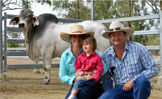  ?? PHOTO: GEORDI OFFORD ?? TOP SELLER: Clukan Axel was purchased at the Rockhampto­n Brahman Week Sale by Kelvin and Libby Harriman of GI Brahman Stud in Muttaburra for $100,000.