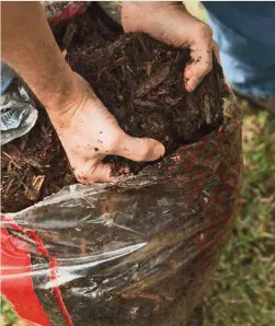  ??  ?? Sustainabl­e and readily available, processed bark is widely used in commercial potting composts, helping to reduce the peat content