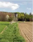  ?? Foto: Marianne Birkner ?? Dass hier ein Weg verläuft, ist kaum noch zu sehen. Der Jägerstand steht so gar zur Hälfte auf diesem Grasweg bei Miedering.