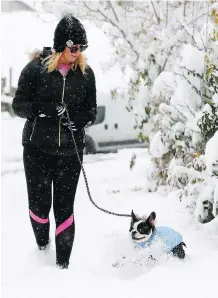  ?? DARREN MAKOWICHUK ?? Genna Bland walks her dog Daisy.