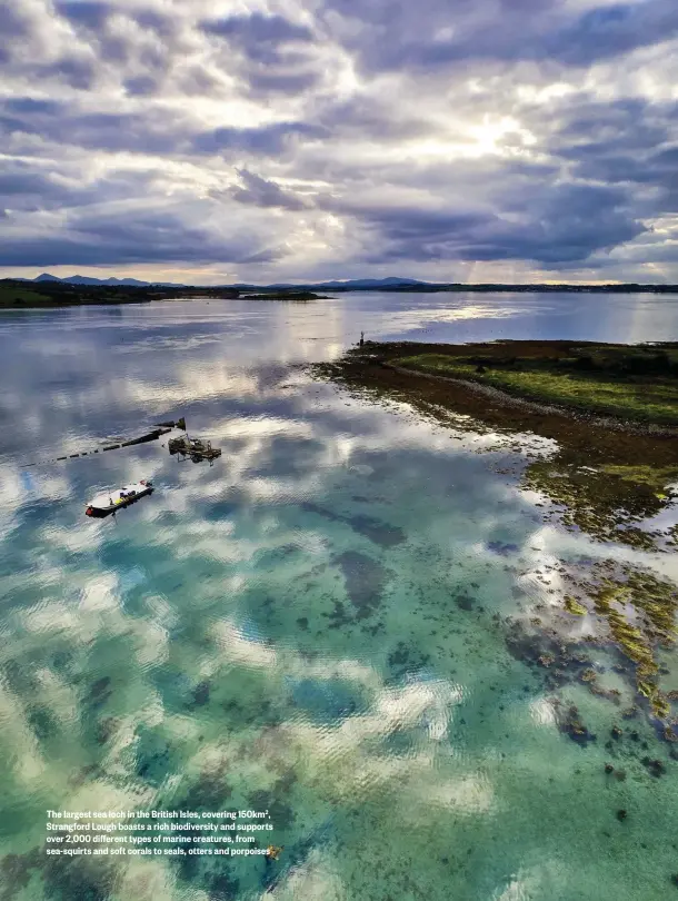  ??  ?? The largest sea loch in the British Isles, covering 150km2, Strangford Lough boasts a rich biodiversi­ty and supports over 2,000 different types of marine creatures, from sea-squirts and soft corals to seals, otters and porpoises