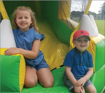  ??  ?? Ella and Evan Smyth from Ballinacar­row having fun at the Family Fun Day at Castle Dargan Estate.