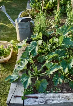  ?? ?? Nurture healthier and larger vegetable crops using the no-dig method