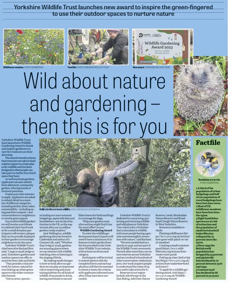  ?? PHOTO: TOM AND EVIE PHOTOGRAPH­Y YORKSHIRE WILDLIFE TRUST ?? Wildflower meadow.
PHOTO: ADOBESTOCK
Pond life. PHOTO: YORKSHIRE WILDLIFE TRUST
Build a birdbox to boost wildlife.
New award.
Prickly problem.