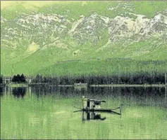  ??  ?? A Kashmiri rows a boat on the Dal Lake in front of snowcovere­d mountains, Srinagar