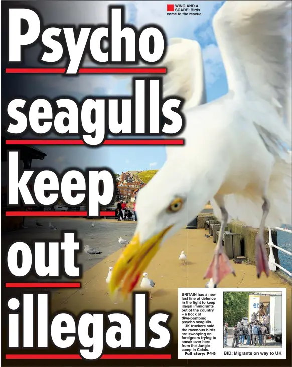  ??  ??    WING AND A SCARE: Birds come to the rescue
BID: Migrants on way to UK