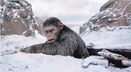  ?? COURTESY OF TWENTIETH CENTURY FOX ?? A scene from “War for the Planet of the Apes.”