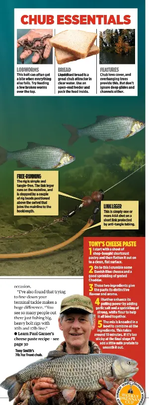 Featured image of post Easiest Way to Make Making Cheese Paste For Fishing