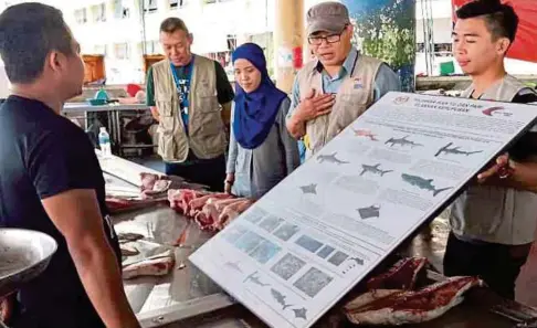  ??  ?? LAWRENCE memberi penerangan kepada penjual ikan mengenai spesies ikan dilindungi di Pasar Umum Sandakan.