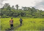  ?? FEDERICO RIOS ESCOBAR NEW YORK TIMES ?? Community members walk into the forests of the Buenavista reservatio­n in Putumayo, Colombia, in May.