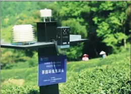  ?? LONG WEI / FOR CHINA DAILY ?? A smart device that uses blockchain technology is installed in a Longjing tea plantation in Hangzhou, Zhejiang, allowing consumers to track the origin and quality of the tea.
