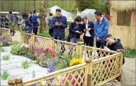  ?? GAO ERQIANG / CHINA DAILY ?? Visitors enjoy innovative flower designs by members of 30 families in the Yangtze River Delta, which have been included in the expo for more public engagment.