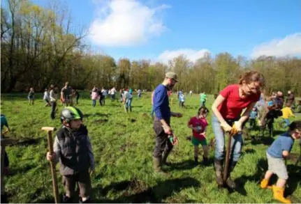  ?? FOTO FILIP SPOELDERS ?? De Edegemnare­n tekenden massaal present om nieuwe bomen te planten.