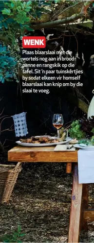  ??  ?? Plaas blaarslaai met die wortels nog aan in broodpanne en rangskik op die tafel. Sit ’n paar tuinskêrtj­ies by sodat elkeen vir homself blaarslaai kan knip om by die slaai te voeg.