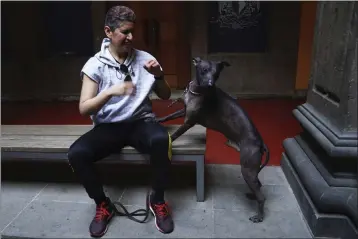  ?? PHOTOS BY MARCO UGARTE — THE ASSOCIATED PRESS ?? Nemiliz Gutierrez Arroyo sits next to his Xoloitzcui­ntle breed dog named Mezcal, during a press conference Jan. 25about the Xoloitzcui­ntle in art, in Mexico City.