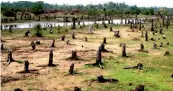  ??  ?? Posco project site at Paradip in Odisha’s Jagatsingh­pur. Source: Odisha Sun Times