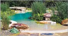  ?? Rin Robyn BioNova Natural Pools ?? DIVE into the chlorine-free trend with BioNova Natural Pools.