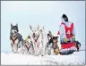  ?? THE CANADIAN PRESS/HO-JUSTIN ALLEN ?? A musher and his 12 Alaskan huskies have reached the halfway point of their 3,000-kilometre dog sled trek from Manitoba to his home province of New Brunswick. Justin Allen and his sled dogs are shown in handout photo.