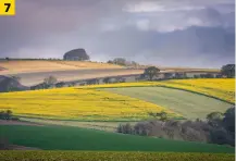  ?? ?? [7] Classic rural scenes with rolling hills look their best in spring when the grass and leaves are fresh. Use longer focal lengths to highlight contours.