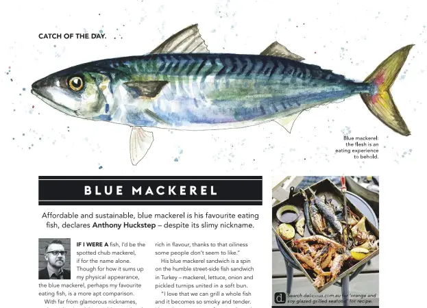 BLUE MACKEREL - PressReader