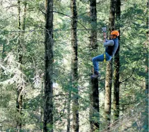  ??  ?? Recorre el bosque con tirolesas de 60 y 120 metros de longitud.