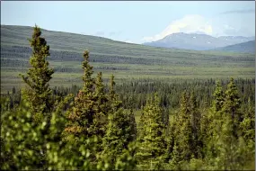  ?? MATT HAGE — THE ASSOCIATED PRESS FILE ?? A view extends into Denali National Park and preserve from the end of the pavement on the Stampede Road in Healy, Alaska.