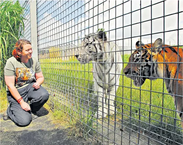  ??  ?? Top: Rosa King with some tigers at Hamerton Zoo Park; below, Sarah Mcclay, who was killed in 2013