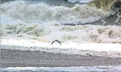  ?? PEDRO CATENA ?? En la costa del Maresme, las olas superaron los cuatro metros