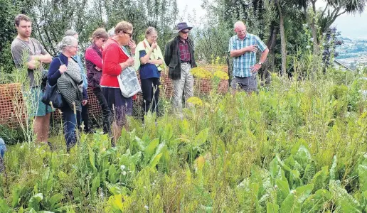  ?? PHOTOS: GILLIAN VINE ?? How it works . . . Alan Savell (far right) explains the purpose of his herbal ley to members of the Dunedin Vegetable Growers Club. The orange mesh behind the group encloses this year’s compost heap.