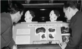  ?? Images ?? Piltdown Man display, Natural History Museum, December 1953. Photograph: Reg Speller/Getty