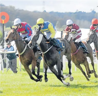  ?? Picture: Kim Cessford. ?? Action from the third race at Perth yesterday.