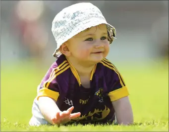  ??  ?? Eight-month-old Caolan Malone, son of midfielder Brian and nephew of Glen, was one of the few Wexford folk who enjoyed themselves in the Innovate Wexford Park sunshine on Saturday.