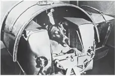  ?? Foto: Upi/dpa ?? Mischlings­hündin Laika bei Tests in einer Druckkabin­e. Sie war das erste Lebewesen, das der Mensch ins All schickte.
