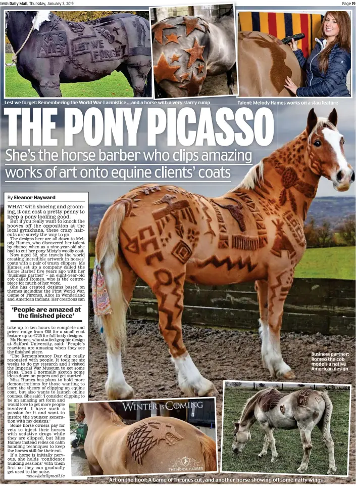  ??  ?? Lest we forget: Rememberin­g the World War I armistice … and a horse with a very starry rump news@dailymail.ie Talent: Melody Hames works on a stag feature Business partner: Romeo the cob models a native American design Art on the hoof: A Game of Thrones cut, and another horse showing off some natty wings