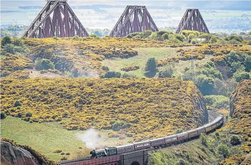  ?? Katielee Arrowsmith/SWNS.com. Pictures: Wullie Marr/Deadline News/ ?? The Flying Scotsman on its trip through Fife and, right, crossing the Forth Bridge.