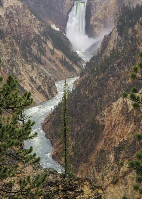  ??  ?? The majestic 308-foot Lower Falls of the Yellowston­e River, as seen from Artist Point.