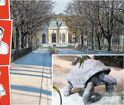  ??  ?? Welche Partner werden künftig gemeinsam in der Wiener Stadtregie­rung sitzen? Die „Krone“fuhr nach Schönbrunn und fragte einen geübten Propheten um Rat.