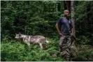  ??  ?? Coronado, founder of Wolf Patrol, poses for a portrait with a taxidermy wolf he uses to lure poachers and catch out-of-season wolf hunting. Photograph: Desiree Rios/The Guardian